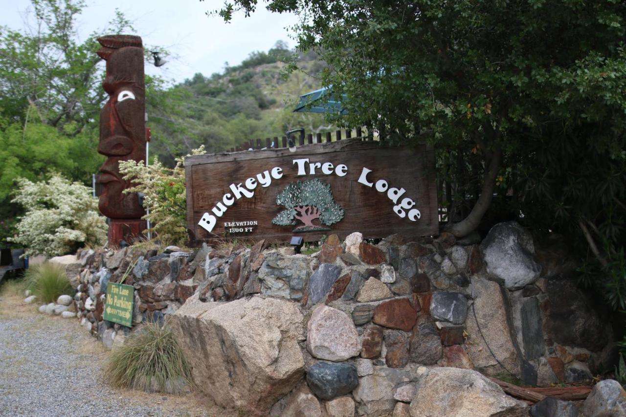 Buckeye Tree Lodge Three Rivers Exteriör bild